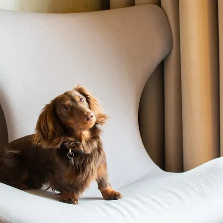 호텔 퀄리티 엑스포 포르네부