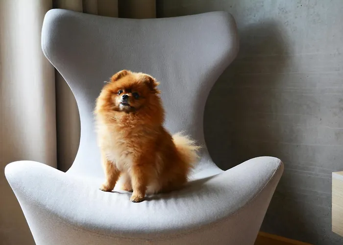 Quality Expo Hotell Fornebu