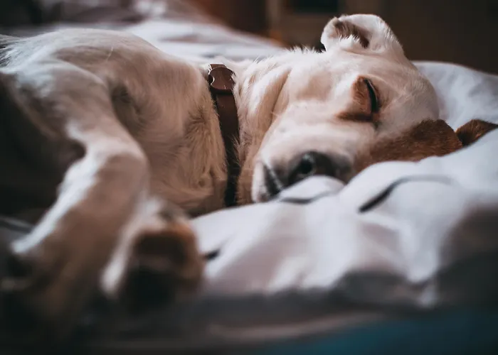 Hotell Quality Expo Fornebu